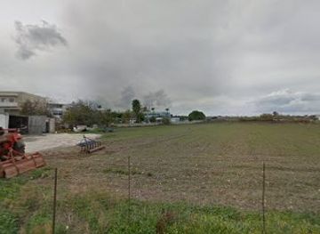 greece/kos/tingaki/shop/tigaki