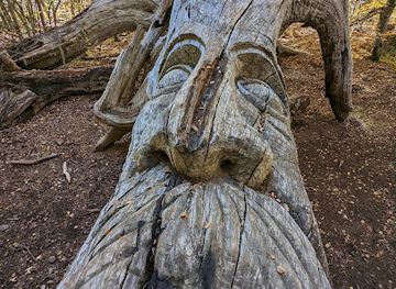 argentina/southern-patagonia/shop/el-bosque-tallado