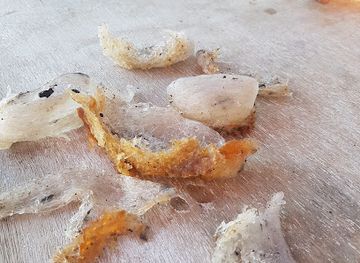 malaysia/redang-island/shop/uteh-shop