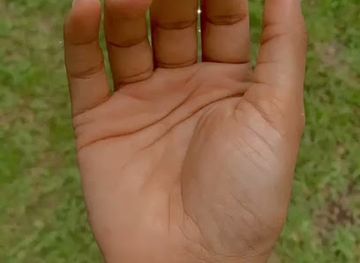 mauritius/tamarin/shop/dans-un-jardin