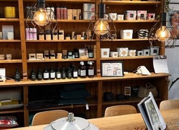 luxembourg/dudelange/shop/les-coffres-a-papillons-by-album-papillons