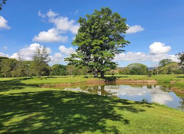 papua-new-guinea/milne-bay-region/shop/koitaki-country-club