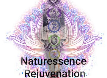 florida/santa-fe-river/shop/naturessence-rejuvenation-llc