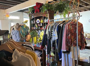 florida/jacksonville/shop/purple-mangrove