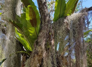new-caledonia/loyalty-islands-province/shop/scet-lifou