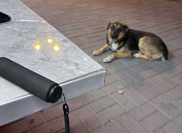 armenia/gyumri/shop/hovman-gyumri