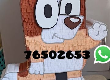 bolivia/yungas-road/shop/quisco4