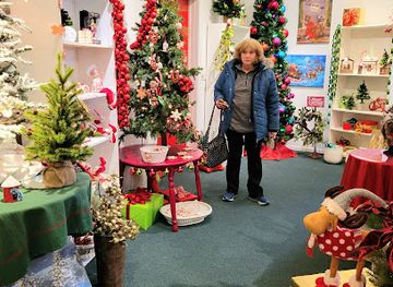 michigan/warren-dunes-state-park/shop/the-christmas-tree