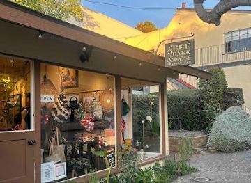 california/carmel-by-the-sea/shop/bee-bark-moss