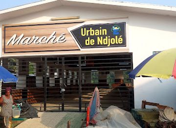 gabon/lope-national-park/shop/ndjole-market