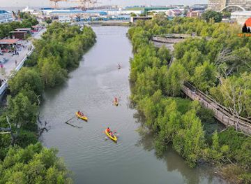 mozambique/sofala-province/shop/moz-outdoor-adventures
