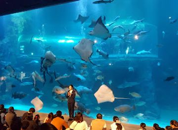 south-korea/yeosu-ocean-park/shop/yeosu-expo-ocean-park