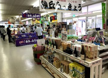 japan/tottori-sand-dunes/shop/tottori-sand-dunes
