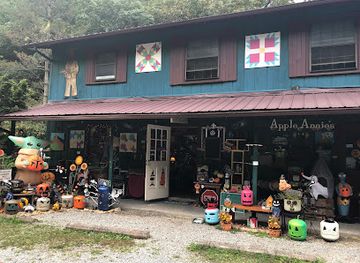 tennessee/gatlinburg/shop/apple-annie-s-sip-n-shop