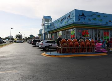 florida/destin/shop/alvin-s-island-destin-749