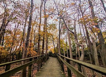ohio/maumee-bay-state-park/shop/maumee-bay-state-park