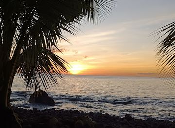 dominica/champagne-reef/shop/donny-s-watersports-snorkel-and-dive-center