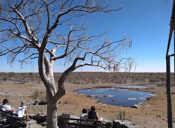 namibia/etosha-national-park/shop/moringa-waterhole-viewpoint