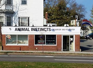 massachusetts/bristol-county/shop/animal-instincts-aquarium-and-pet-center