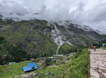 india/auli/shop/trek-to-valley-of-flowers