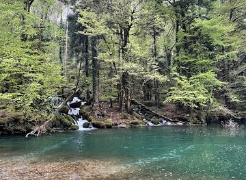 switzerland/jura-mountains/shop/lac-vert-d-undervelier
