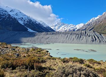 new-zealand/mount-cook-national-park/shop/kea-point