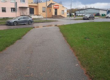 estonia/ida-viru-county/shop/diasir-ou