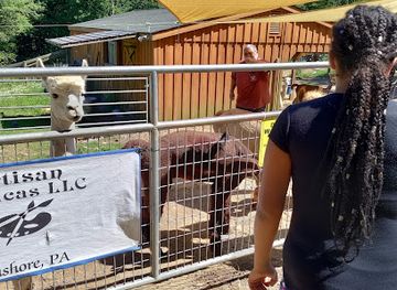 pennsylvania/ricketts-glen-state-park/shop/artisan-alpacas-llc