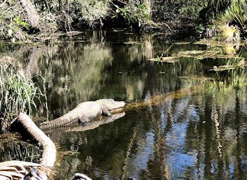 florida/homosassa-springs-wildlife-state-park/shop/homosassa-springs-wildlife-park-visitor-center