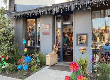 california/laguna-beach/shop/laguna-iguana