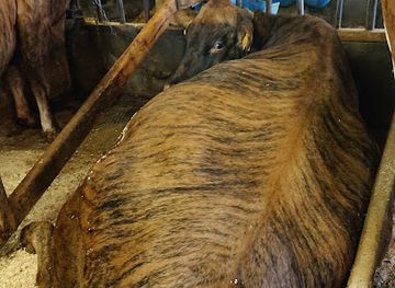 norway/rondane-national-park/shop/kuboden