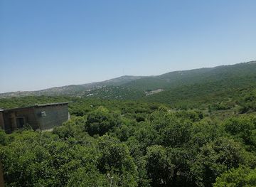 jordan/ajloun-forest-reserve/shop/ajloun-forest-reserve-visitor-center