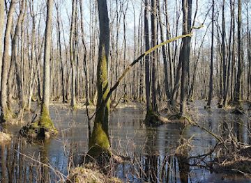 poland/kampinos-national-park/shop/kampinos-national-park