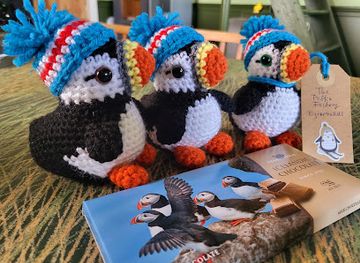 iceland/thorsmork/shop/puffin-factory