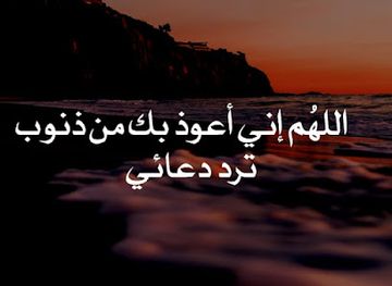 yemen/al-hajjarah-village/shop/mhl-lamnh-llmwad-lghzyh-byl-jmlh-tjzyh