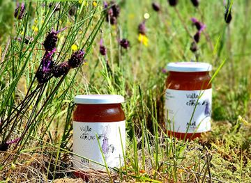 portugal/tras-os-montes/shop/valle-das-corujas