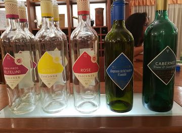 hungary/sopron-wine-region/shop/taschner-borhaz