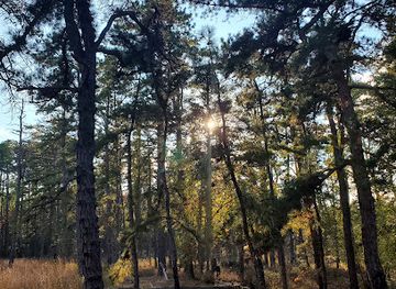 new-jersey/pine-barrens/shop/the-pine-barrens