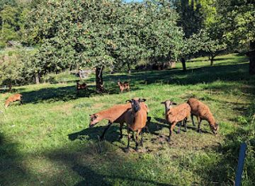 germany/franconian-switzerland/shop/funf-seidla-steig