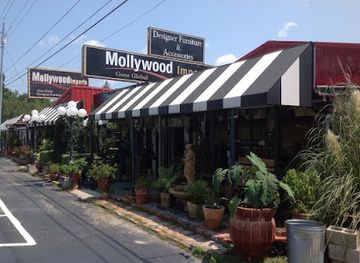 alabama/wiregrass/shop/mollywood-imports-furniture
