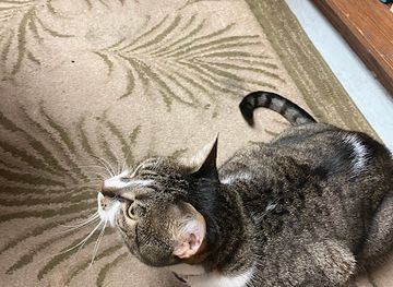 florida/fort-walton-beach/shop/socks-thrift-store