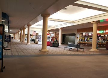 ohio/findlay/shop/go-calendars-toys-games