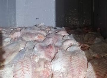 ethiopia/turmi/shop/kedir-nile-perch-maw