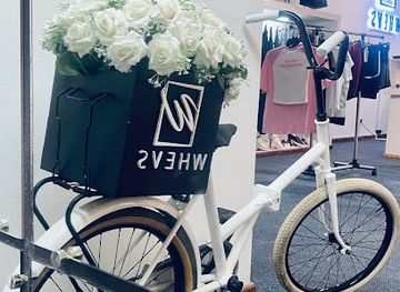 madagascar/antananarivo/shop/whevs