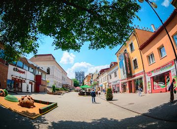 slovakia/aquacity-poprad/shop/sportrysy