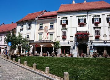 slovenia/ptuj/shop/antikvitete-trop
