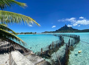 french-polynesia/leeward-islands/shop/bora-bora-lagoonarium