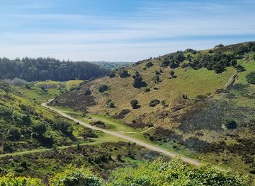 denmark/rebild-bakker/shop/rebild-bakker-rebildvej-rebild