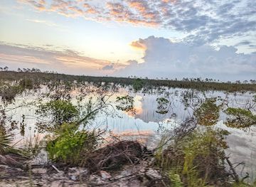 the-bahamas/andros/shop/crab-replenishment-reserve