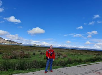 peru/puno-region/shop/candelaria-puno-peru